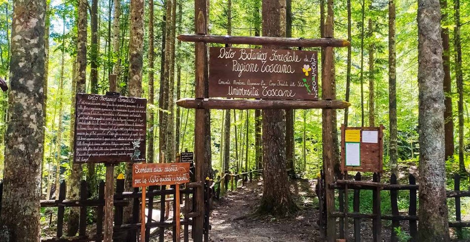 Orto Botanico Forestale dell'Abetone, Italy, Italy